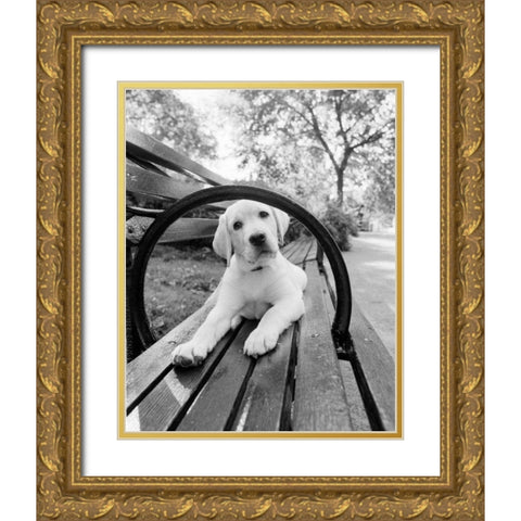 Never Doubt That You Can Gold Ornate Wood Framed Art Print with Double Matting by Dratfield, Jim