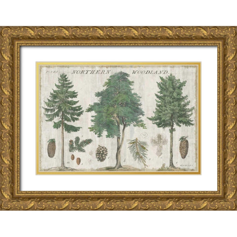 Woodland Chart I Gold Ornate Wood Framed Art Print with Double Matting by Schlabach, Sue