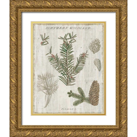 Woodland Chart II Gold Ornate Wood Framed Art Print with Double Matting by Schlabach, Sue