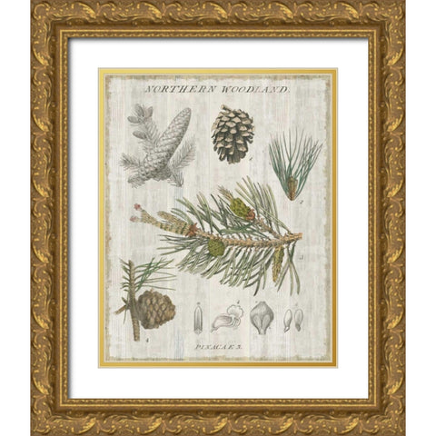 Woodland Chart III Gold Ornate Wood Framed Art Print with Double Matting by Schlabach, Sue