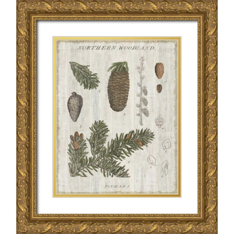 Woodland Chart IV Gold Ornate Wood Framed Art Print with Double Matting by Schlabach, Sue