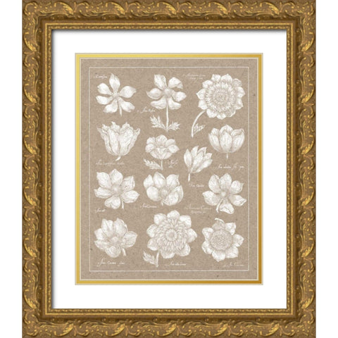 Anemone Plate I Gold Ornate Wood Framed Art Print with Double Matting by Wild Apple Portfolio