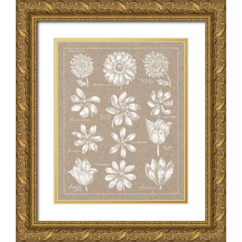 Anemone Plate II Gold Ornate Wood Framed Art Print with Double Matting by Wild Apple Portfolio