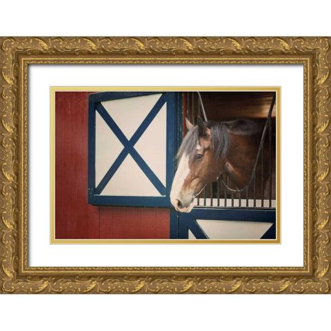 Patriotic Pony I Gold Ornate Wood Framed Art Print with Double Matting by Urquhart, Elizabeth