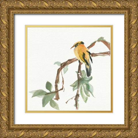 Black Napped Oriole Gold Ornate Wood Framed Art Print with Double Matting by Paschke, Chris