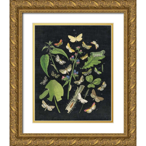 Butterfly Bouquet on Black III Gold Ornate Wood Framed Art Print with Double Matting by Wild Apple Portfolio