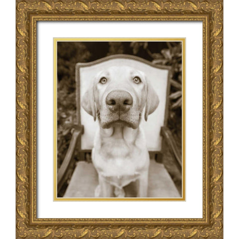 Sitting Gold Ornate Wood Framed Art Print with Double Matting by Dratfield, Jim