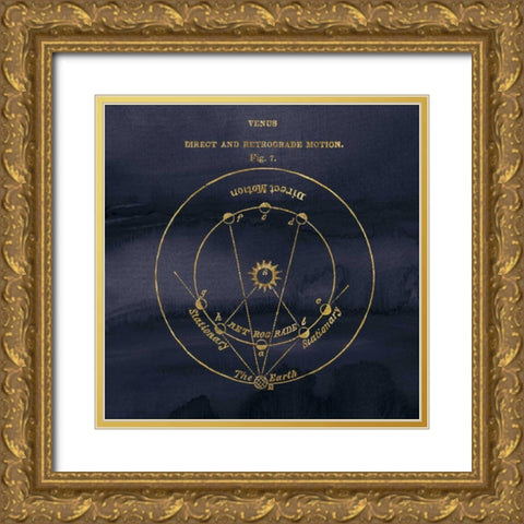 Geography of the Heavens IX Blue Gold Gold Ornate Wood Framed Art Print with Double Matting by Wild Apple Portfolio