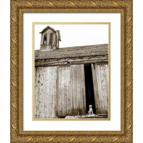 Barnyard Dog Gold Ornate Wood Framed Art Print with Double Matting by Dratfield, Jim