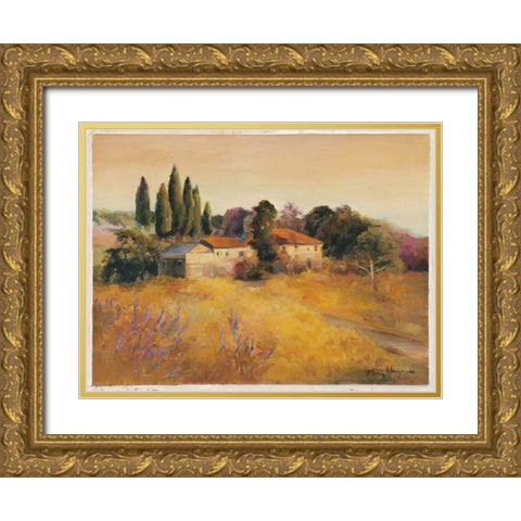 Cerrito di Spoleto Gold Ornate Wood Framed Art Print with Double Matting by Hageman, Marilyn
