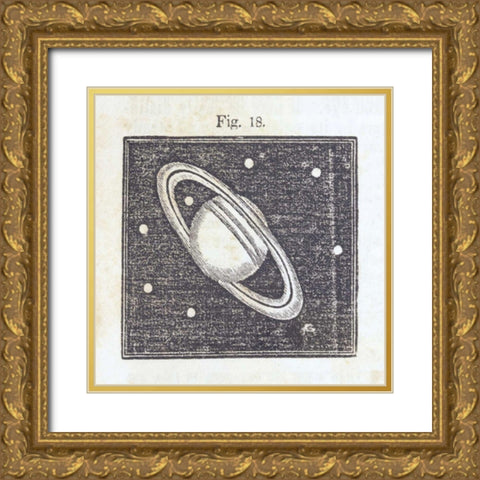 Geography of the Heavens V Gold Ornate Wood Framed Art Print with Double Matting by Wild Apple Portfolio
