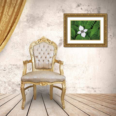 Bunchberry and Ferns I color Gold Ornate Wood Framed Art Print with Double Matting by Audit, Lisa