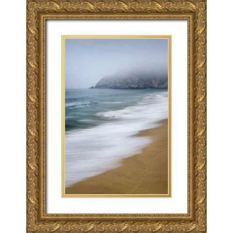 Gray Whale Cove Gold Ornate Wood Framed Art Print with Double Matting by Majchrowicz, Alan