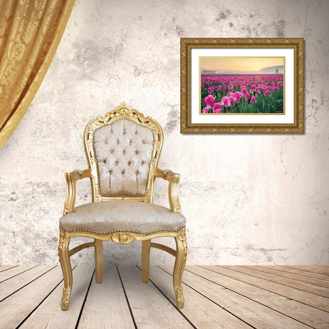 Skagit Valley Tulips I Gold Ornate Wood Framed Art Print with Double Matting by Audit, Lisa