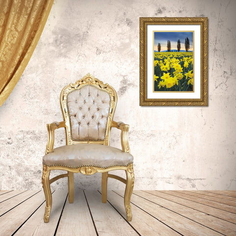 Skagit Valley Daffodils I Gold Ornate Wood Framed Art Print with Double Matting by Audit, Lisa