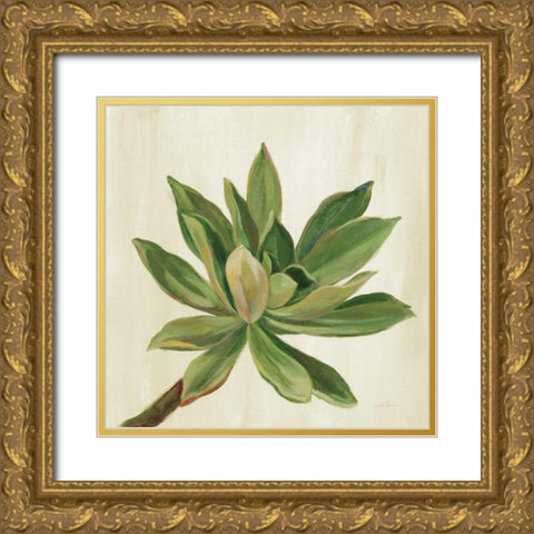 Front Yard Succulent I Gold Ornate Wood Framed Art Print with Double Matting by Vassileva, Silvia