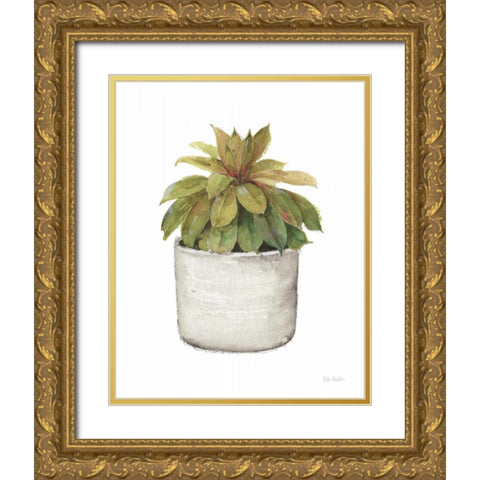 Mixed Greens Succulent III Gold Ornate Wood Framed Art Print with Double Matting by Audit, Lisa