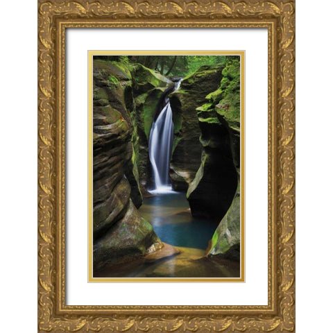 Corkscrew Falls Ohio Gold Ornate Wood Framed Art Print with Double Matting by Majchrowicz, Alan