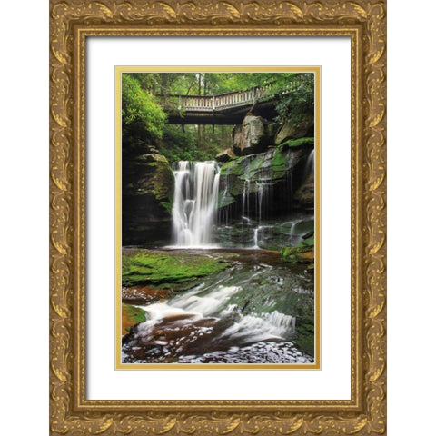 Elakala Falls West I Gold Ornate Wood Framed Art Print with Double Matting by Majchrowicz, Alan