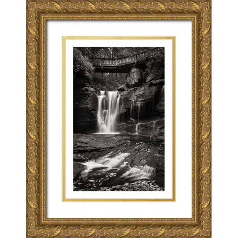 Elakala Falls West I BW Gold Ornate Wood Framed Art Print with Double Matting by Majchrowicz, Alan