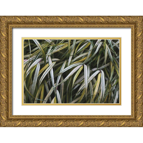 Leafy IV Gold Ornate Wood Framed Art Print with Double Matting by Urquhart, Elizabeth