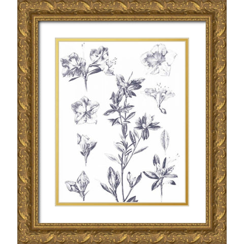 Lithograph Florals I Blue Gold Ornate Wood Framed Art Print with Double Matting by Wild Apple Portfolio
