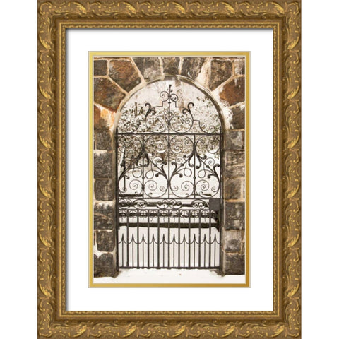 Winterthur Gate Gold Ornate Wood Framed Art Print with Double Matting by Aledanda