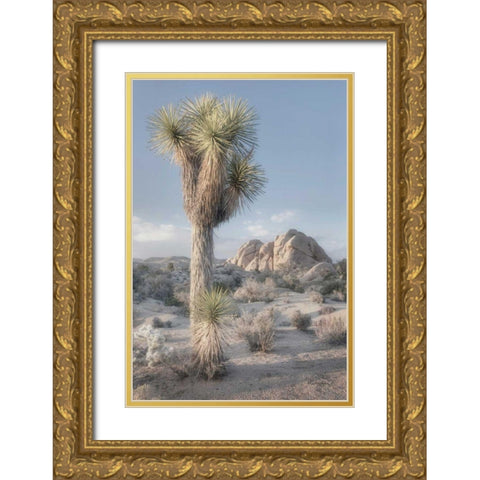 Joshua Tree National Park I Gold Ornate Wood Framed Art Print with Double Matting by Majchrowicz, Alan