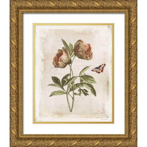 Antiquarian Blooms VI Gold Ornate Wood Framed Art Print with Double Matting by Pertiet, Katie