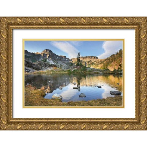 Heather Meadows in Autumn Gold Ornate Wood Framed Art Print with Double Matting by Majchrowicz, Alan