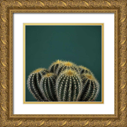Cacti I Gold Ornate Wood Framed Art Print with Double Matting by Eichman, Andre