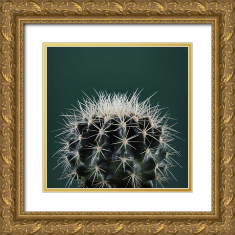 Cacti II Gold Ornate Wood Framed Art Print with Double Matting by Eichman, Andre