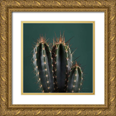Cacti III Gold Ornate Wood Framed Art Print with Double Matting by Eichman, Andre