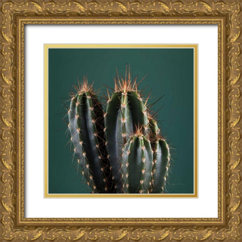 Cacti IV Gold Ornate Wood Framed Art Print with Double Matting by Eichman, Andre