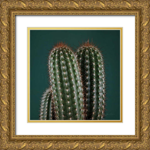 Cacti V Gold Ornate Wood Framed Art Print with Double Matting by Eichman, Andre