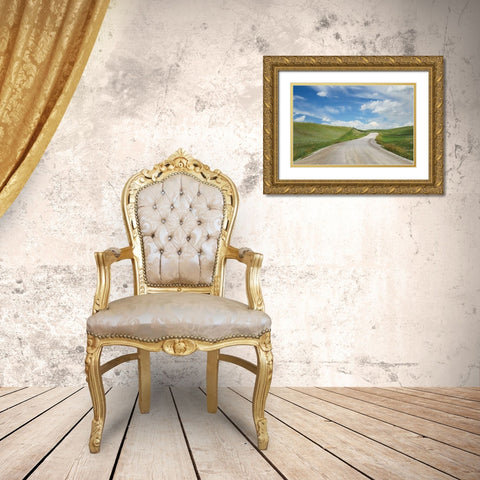 Gravel Road Near Choteau Montana I Gold Ornate Wood Framed Art Print with Double Matting by Majchrowicz, Alan