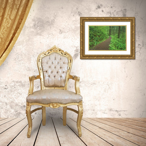 Hiking Trail in Columbia River Gorge I Gold Ornate Wood Framed Art Print with Double Matting by Majchrowicz, Alan
