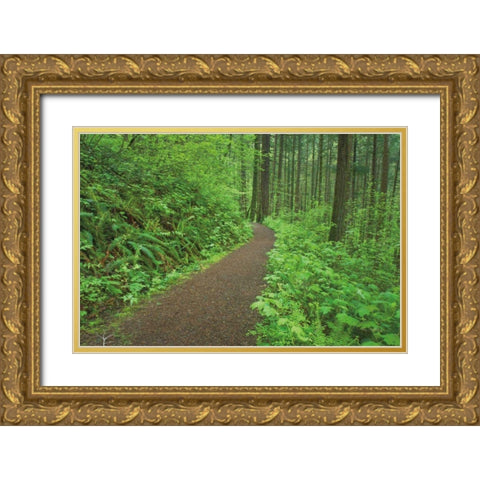 Hiking Trail in Columbia River Gorge I Gold Ornate Wood Framed Art Print with Double Matting by Majchrowicz, Alan