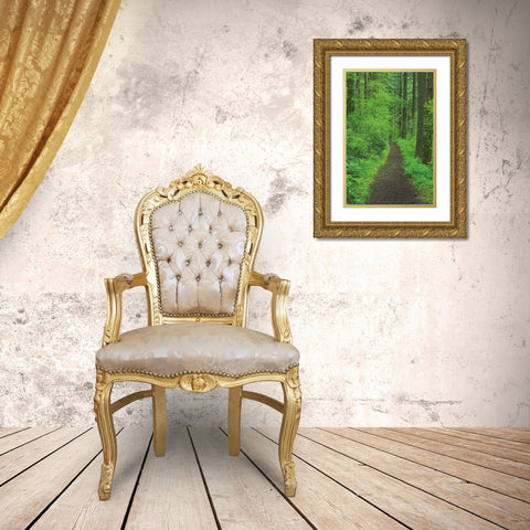 Hiking Trail in Columbia River Gorge II Gold Ornate Wood Framed Art Print with Double Matting by Majchrowicz, Alan