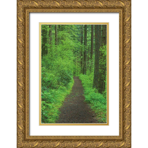 Hiking Trail in Columbia River Gorge II Gold Ornate Wood Framed Art Print with Double Matting by Majchrowicz, Alan