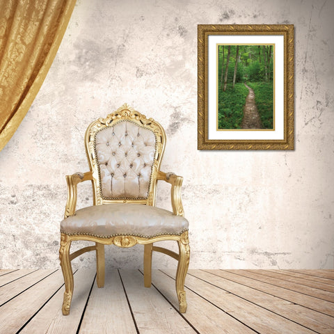 North Country Trail Gold Ornate Wood Framed Art Print with Double Matting by Majchrowicz, Alan
