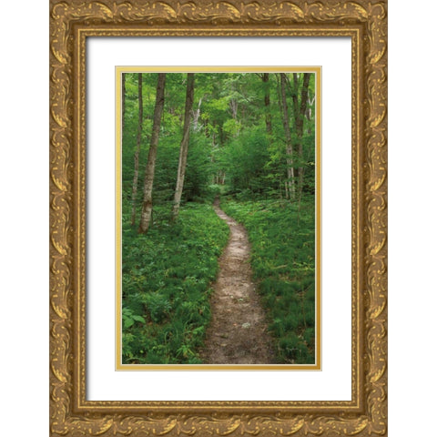 North Country Trail Gold Ornate Wood Framed Art Print with Double Matting by Majchrowicz, Alan