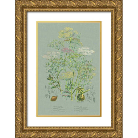 Flowering Plants II Green Linen Gold Ornate Wood Framed Art Print with Double Matting by Wild Apple Portfolio