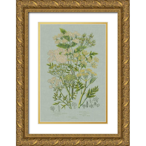 Flowering Plants III Green Linen Gold Ornate Wood Framed Art Print with Double Matting by Wild Apple Portfolio