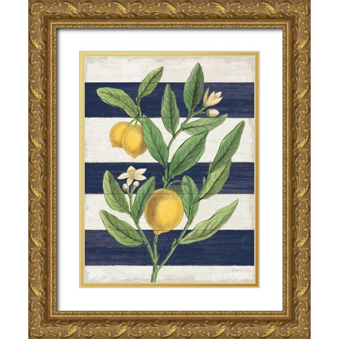 Classic Citrus V Navy Shiplap NW Gold Ornate Wood Framed Art Print with Double Matting by Schlabach, Sue