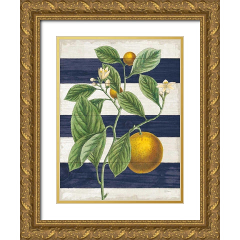 Classic Citrus VI Navy Shiplap NW Gold Ornate Wood Framed Art Print with Double Matting by Schlabach, Sue