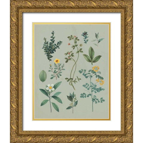 Victorian Garden V Gold Ornate Wood Framed Art Print with Double Matting by Wild Apple Portfolio