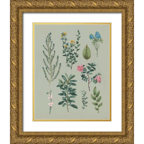 Victorian Garden VI Gold Ornate Wood Framed Art Print with Double Matting by Wild Apple Portfolio