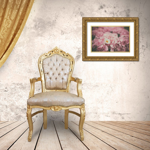 Daisy Dreams Gold Ornate Wood Framed Art Print with Double Matting by Aledanda