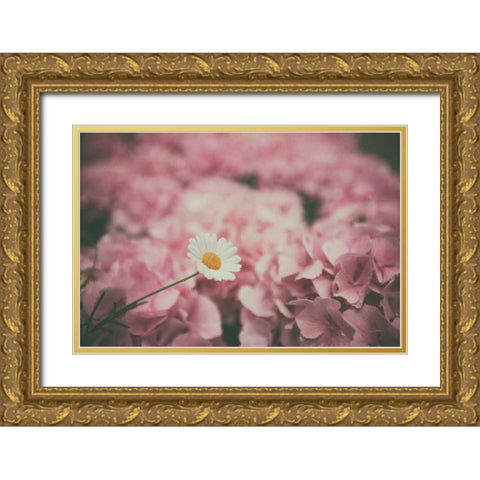 Daisy Dreams Gold Ornate Wood Framed Art Print with Double Matting by Aledanda